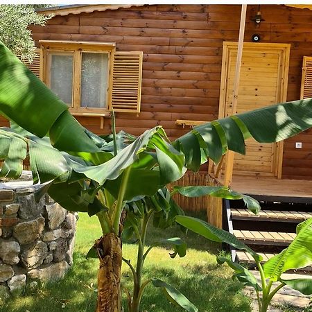 Derin Tas-Bungalow Datça Luaran gambar
